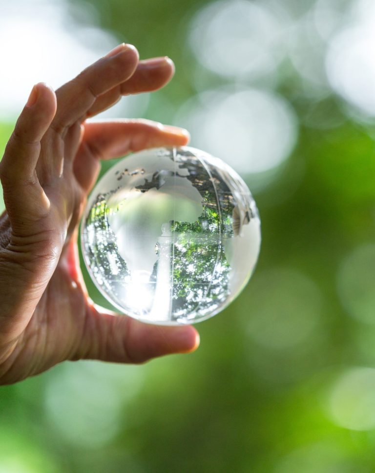 Crystal ball used as a telling object. Nature park with trees in the background. hand for environmental, social, and governance in sustainable and ethical business on green background.